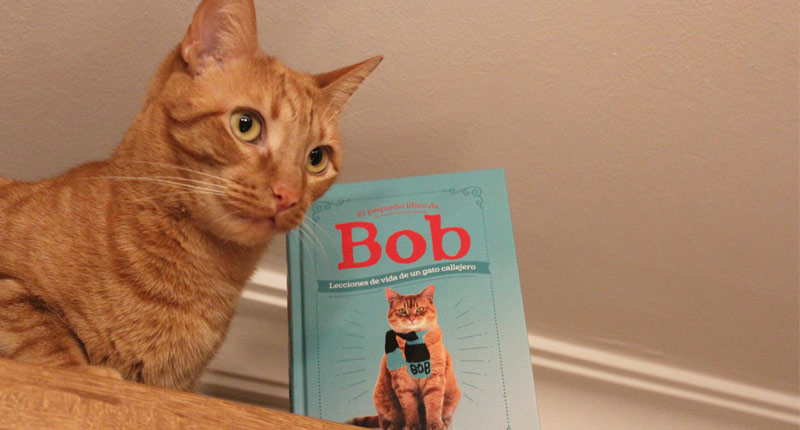 El pequeño libro de Bob (James Bowen, 2019)