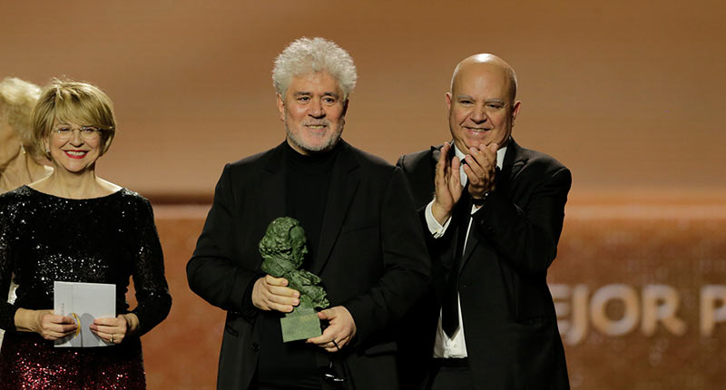 Pedro Almodóvar protagoniza con Dolor y gloria los premios Goya