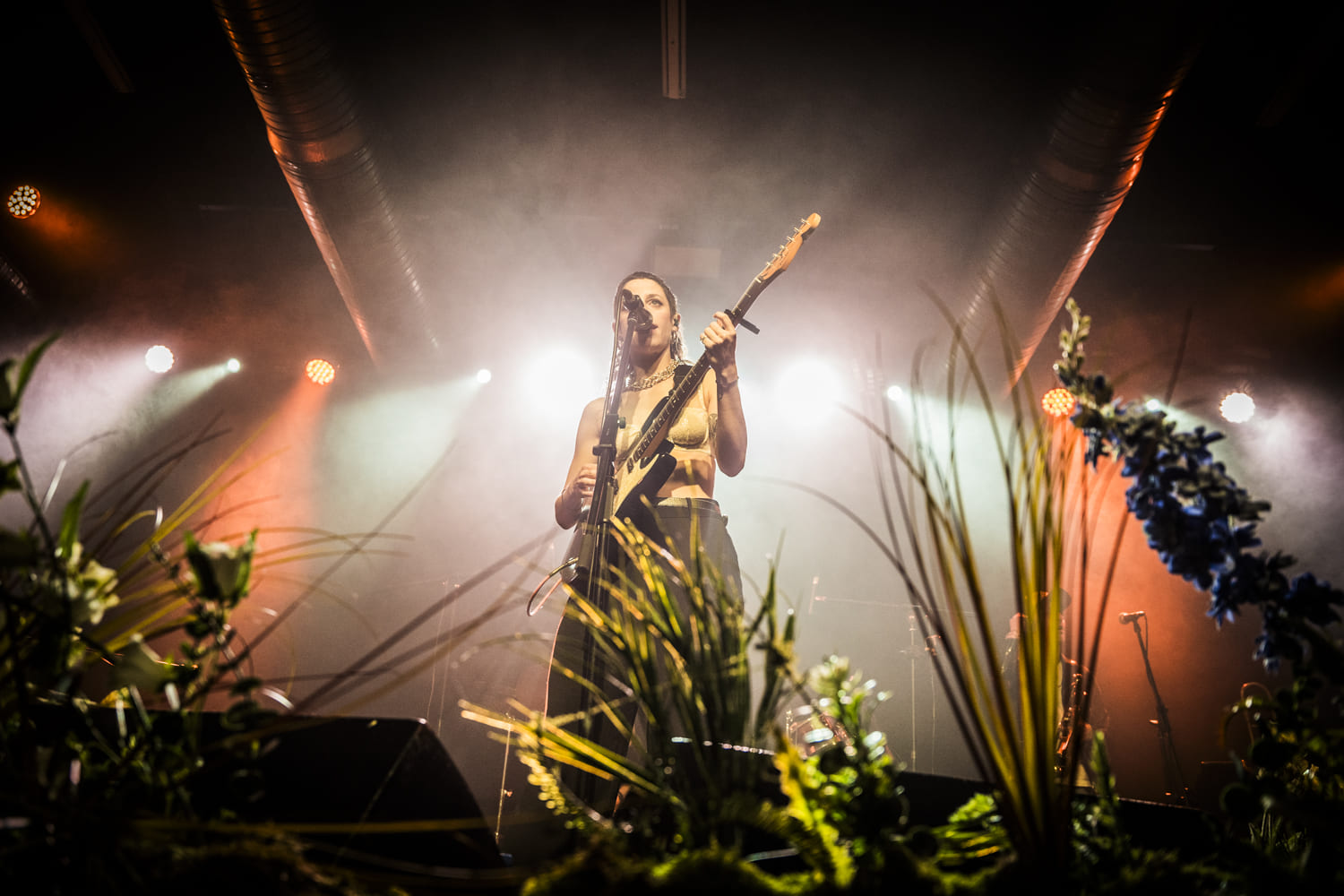 Travis Birds, la confirmación de lo evidente