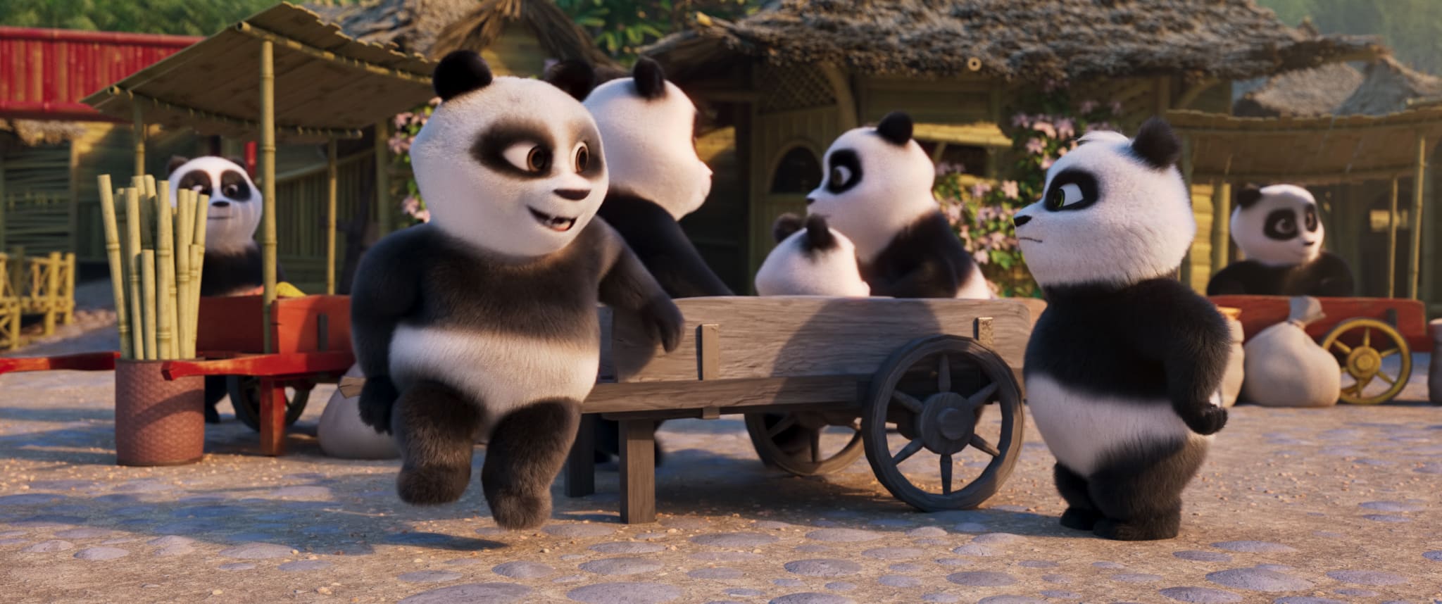 Misión Panda en África, una loa a la fraternidad entre pueblos