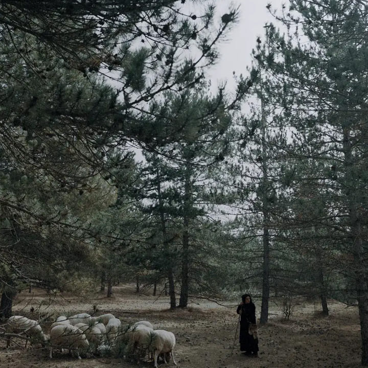 Els mals noms, la maldición de una leyenda negra